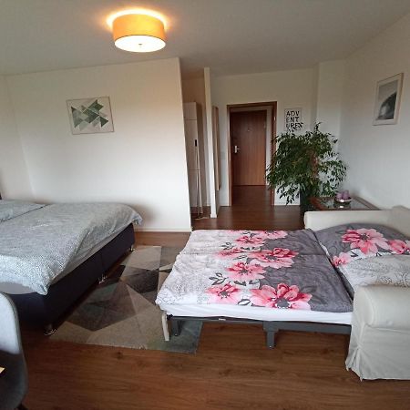 Exklusives Apartment Zw. Lu Und Speyer Mit Aufzug Neuhofen 외부 사진